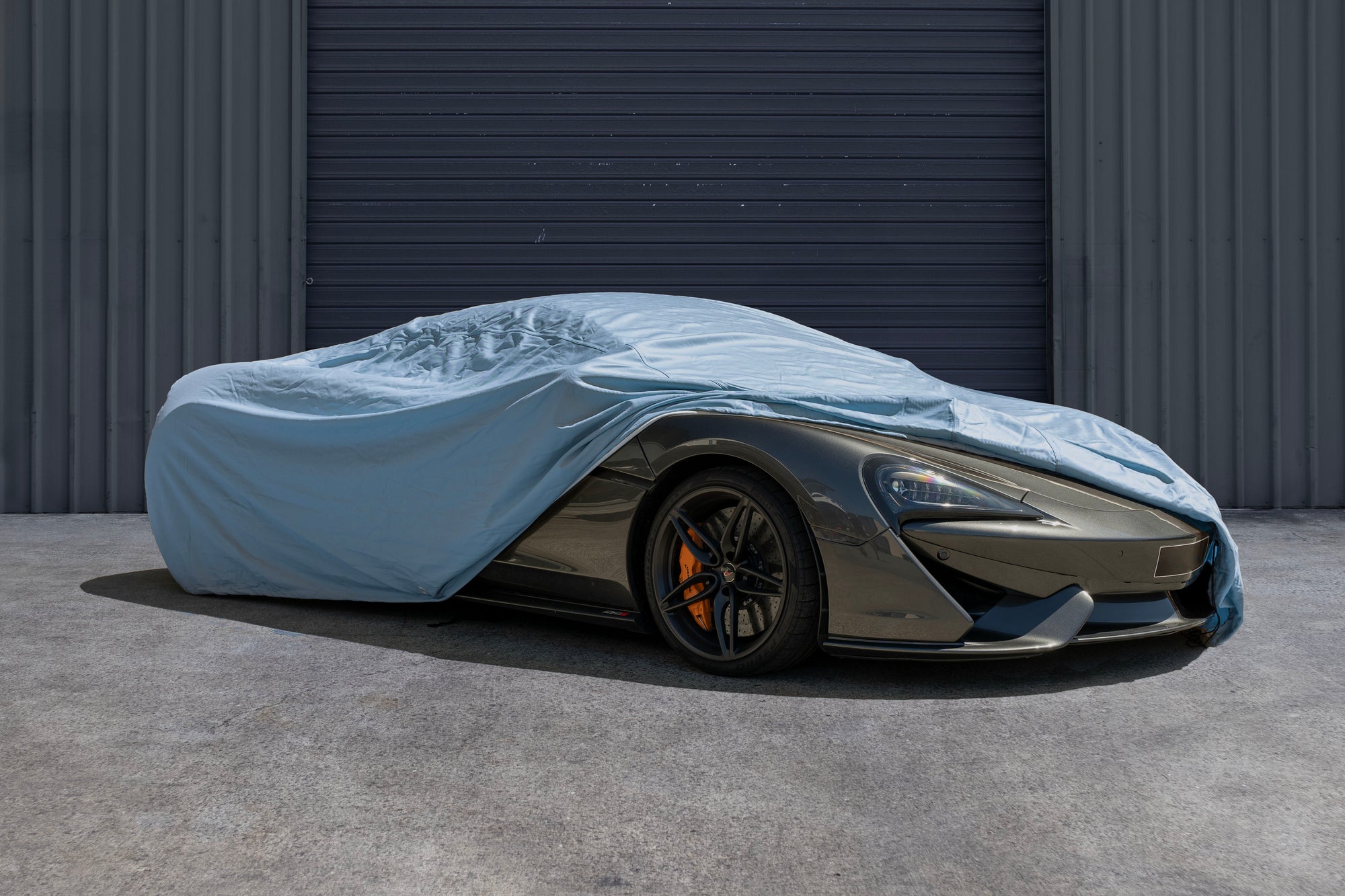 The Auto Swag - Medium The Auto Swag - Medium