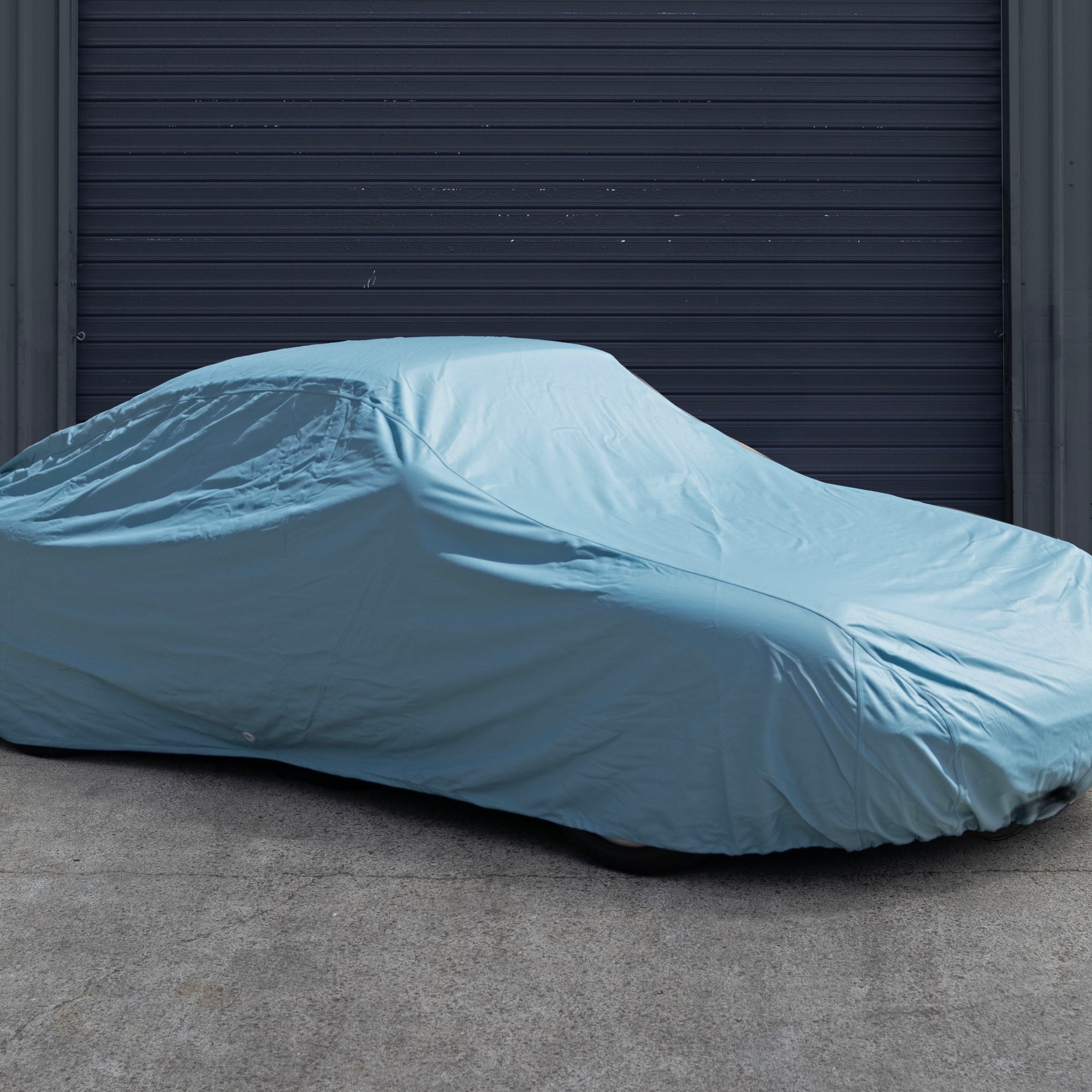 The Auto Swag - Small The Auto Swag - Small