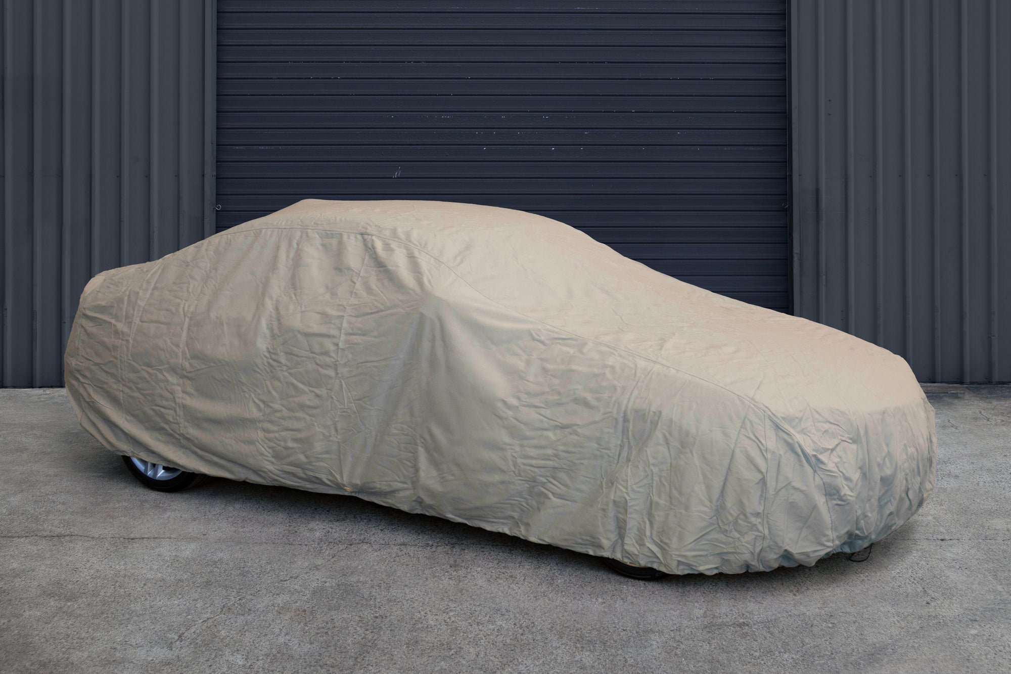 The Auto Swag - Medium