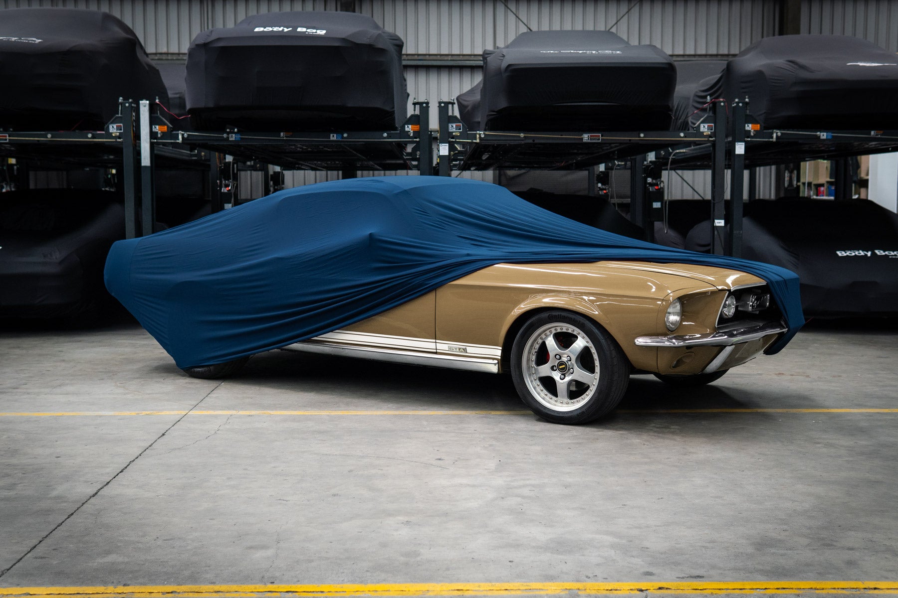 The Sleeping Bag - Medium