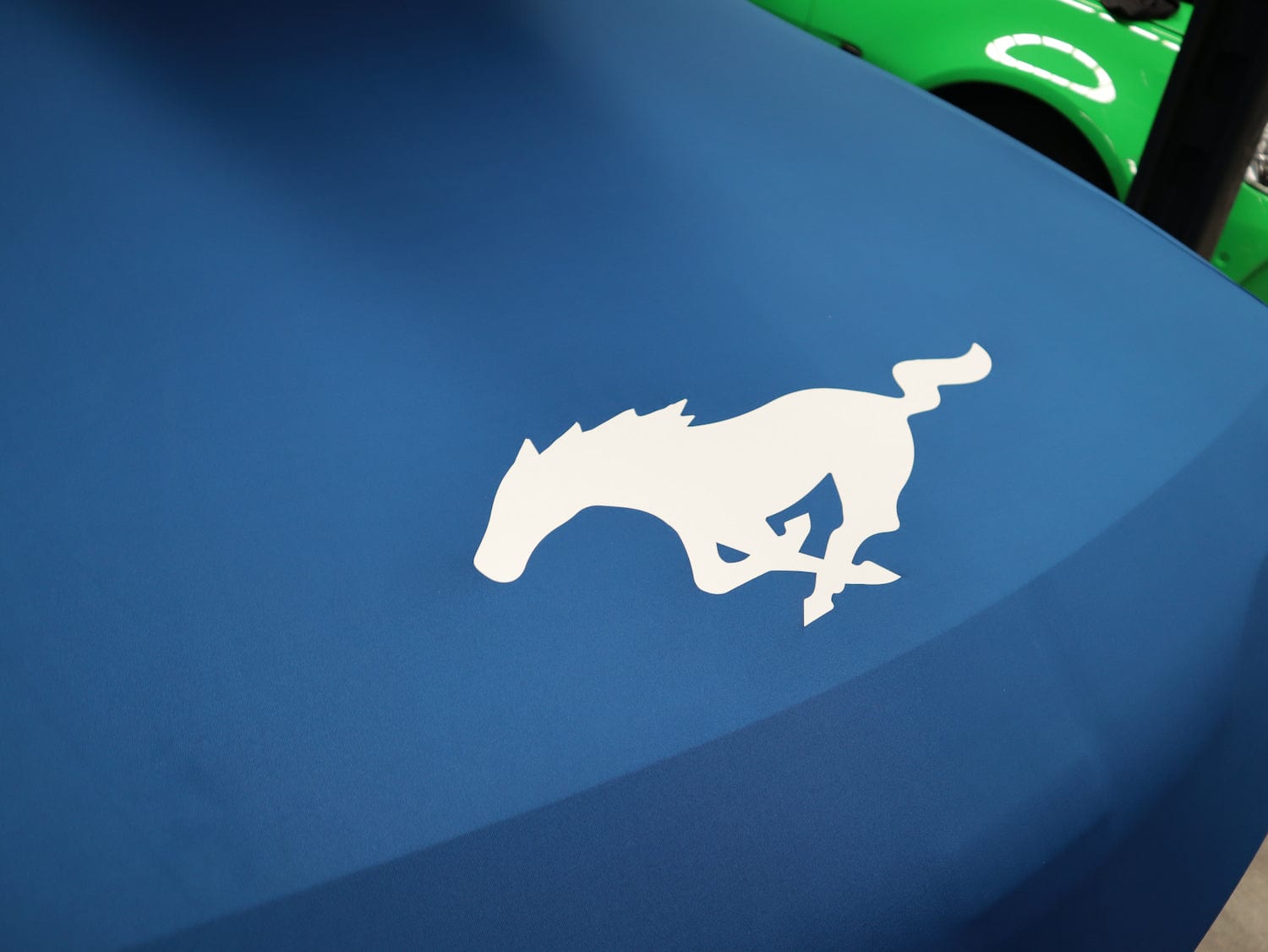 The Sleeping Bag -  Big Boy (2XL)