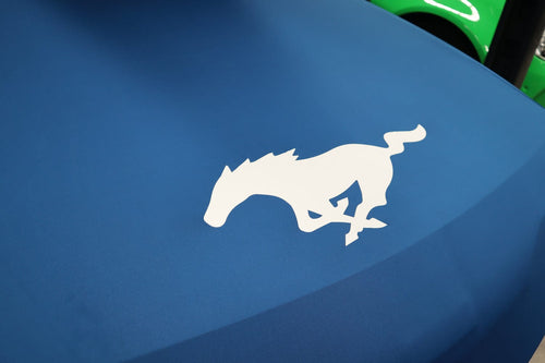 The Sleeping Bag -  Big Boy (2XL)